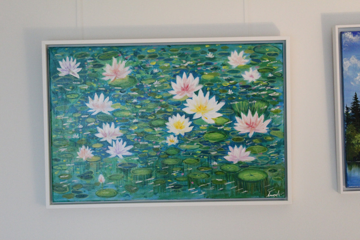 The Lotus garden