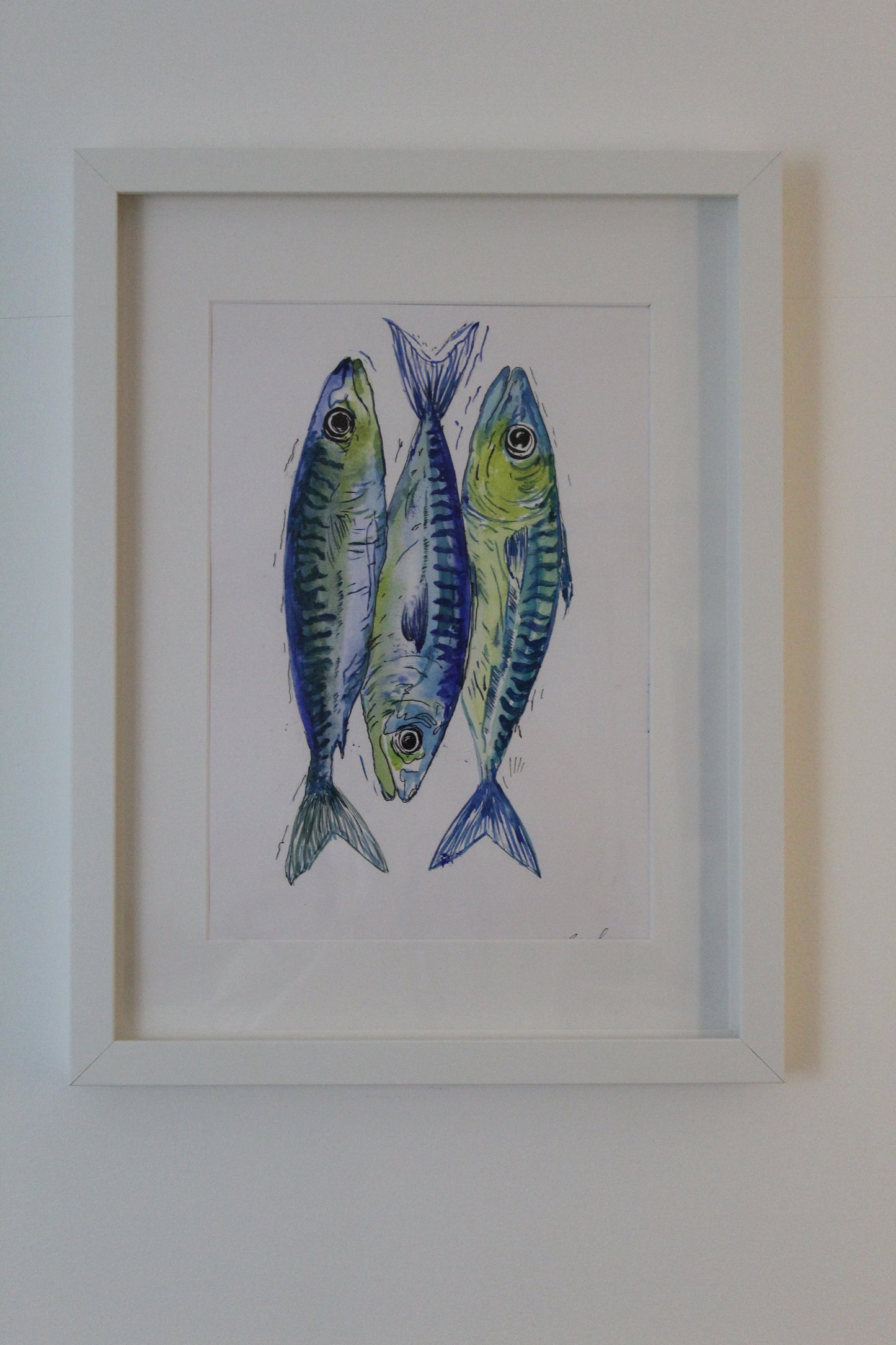 Blue Mackerel Fishes
