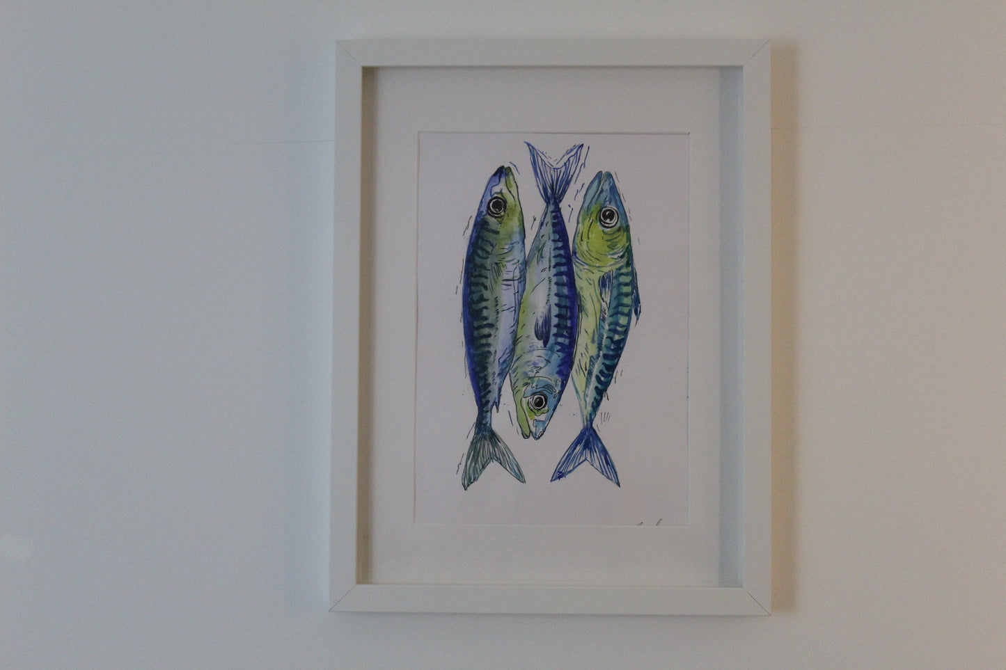 Blue Mackerel Fishes