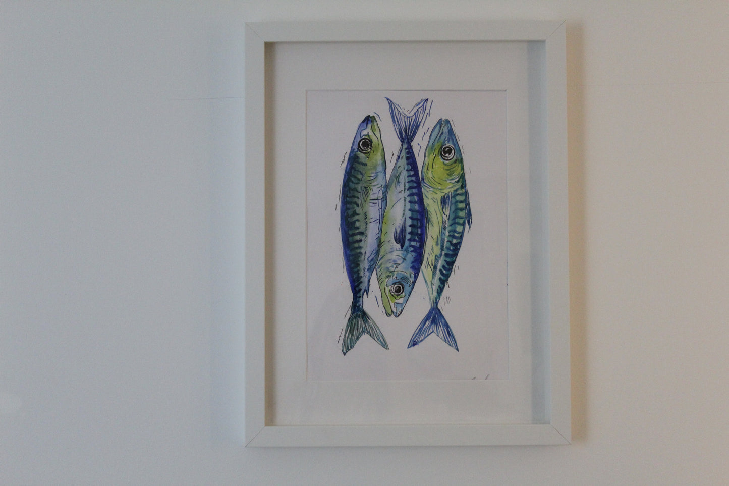 Blue Mackerel Fishes