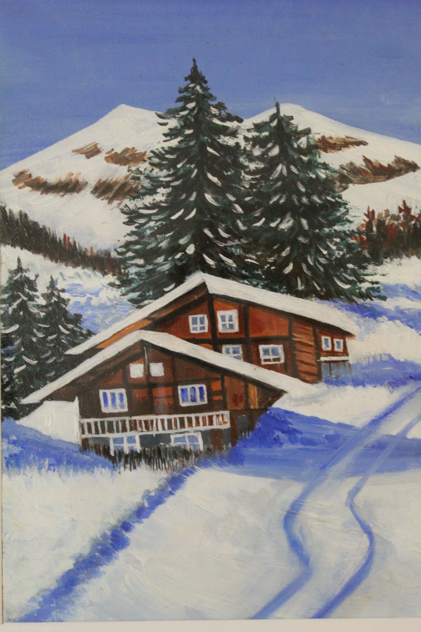 Enchanting Alps: Swiss Snow Village in Winter