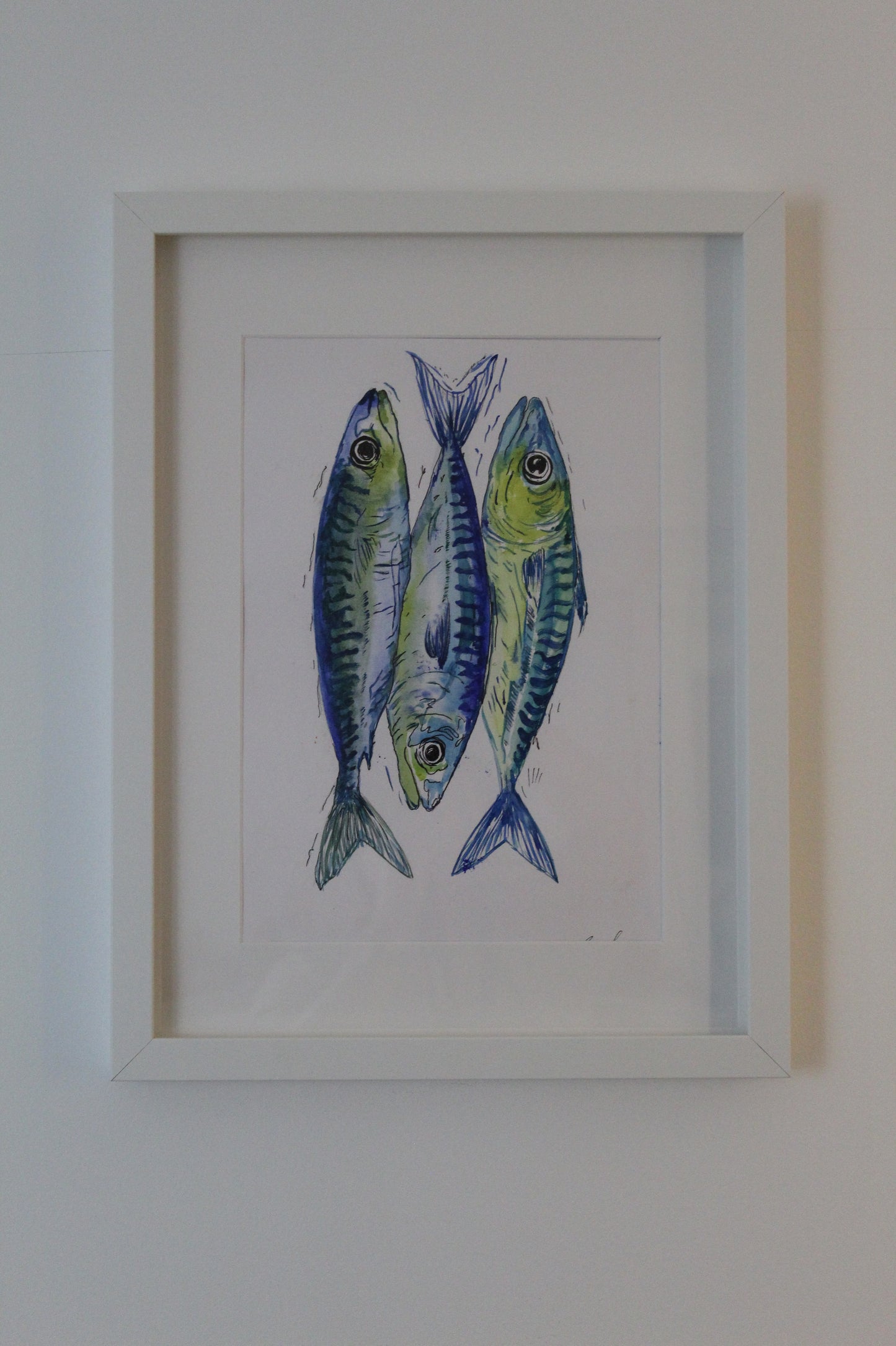 Blue Mackerel Fishes